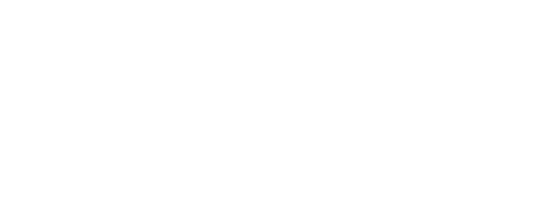 Vitality Chiropractic Chester